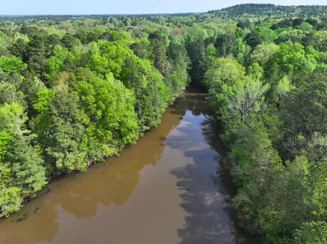 a view of a pathway both side of yard and green space