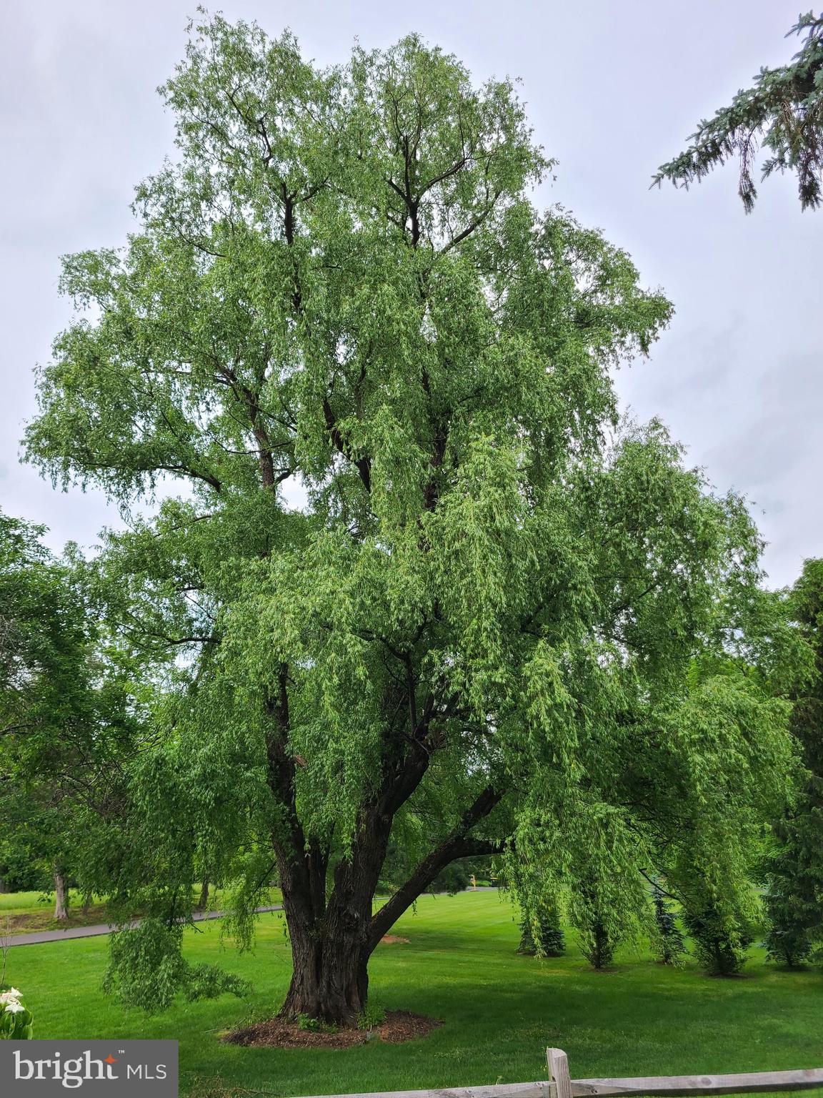 3889 Robin Road Furlong, PA 18925 - Photo 43 of 48 a view of a garden
