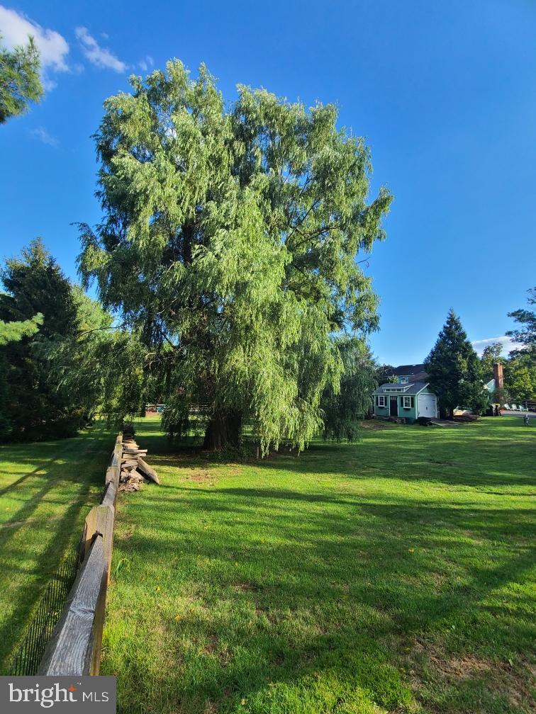 3889 Robin Road Furlong, PA 18925 - Photo 47 of 48 a yard with lots of green space and trees