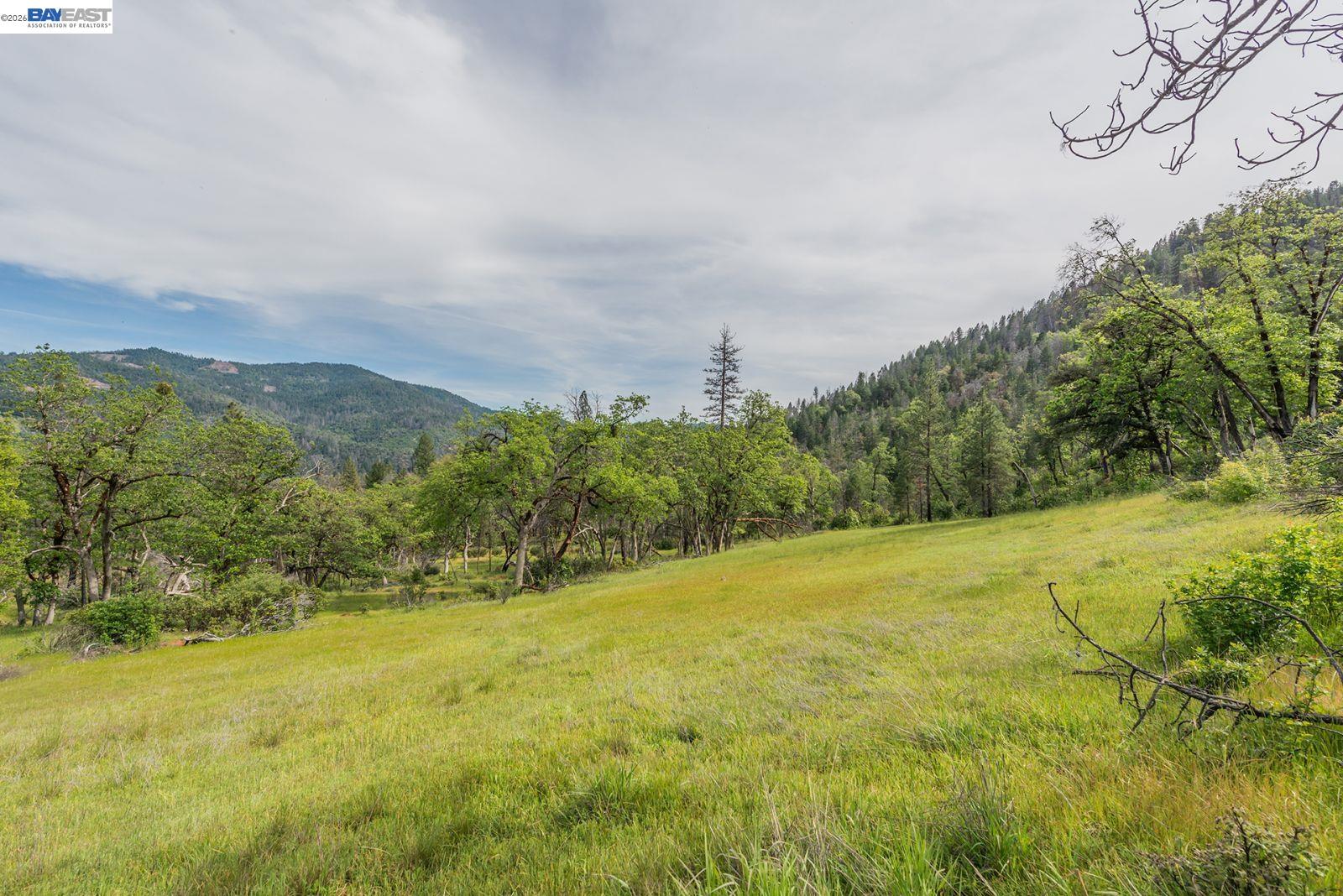 1780 Dutch Creek Road Junction City, CA 96048 - Photo 1 of 38