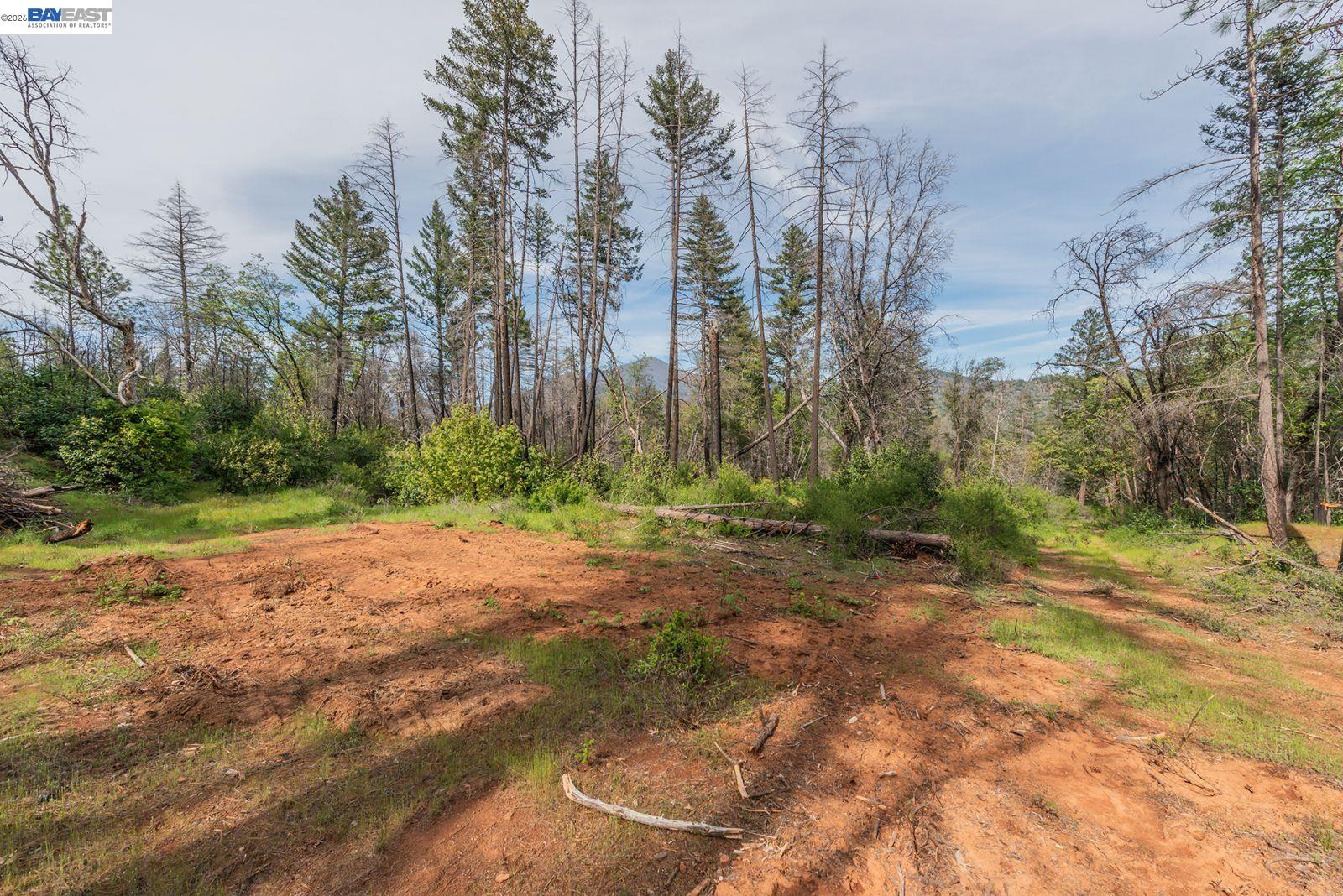 1780 Dutch Creek Road Junction City, CA 96048 - Photo 15 of 38 a view of a yard with trees