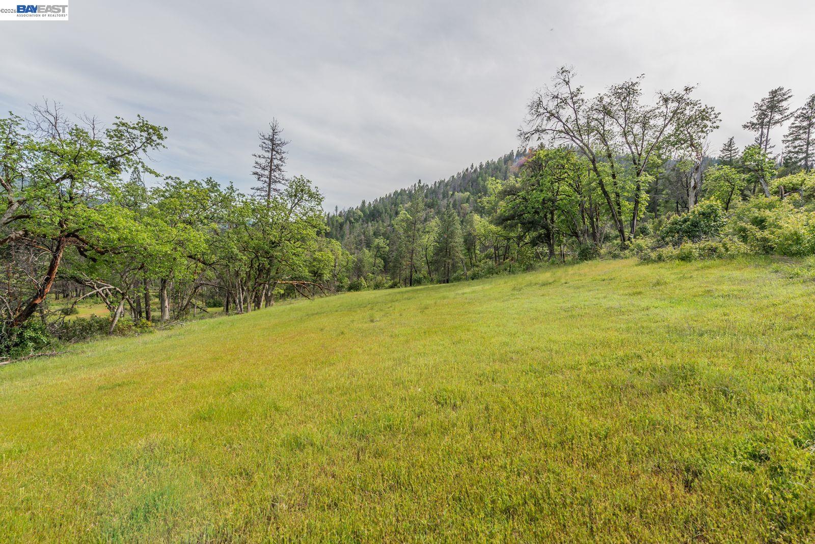1780 Dutch Creek Road Junction City, CA 96048 - Photo 16 of 38 a view of a yard and an trees