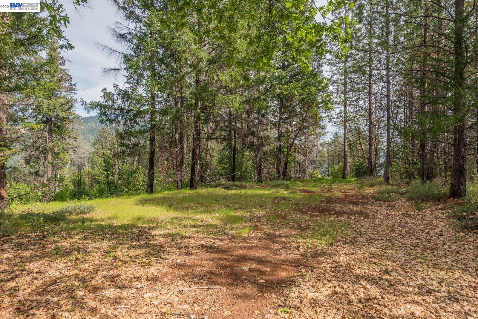 1780 Dutch Creek Road Junction City, CA 96048 - Photo 19 of 38 a view of a field with trees in the background
