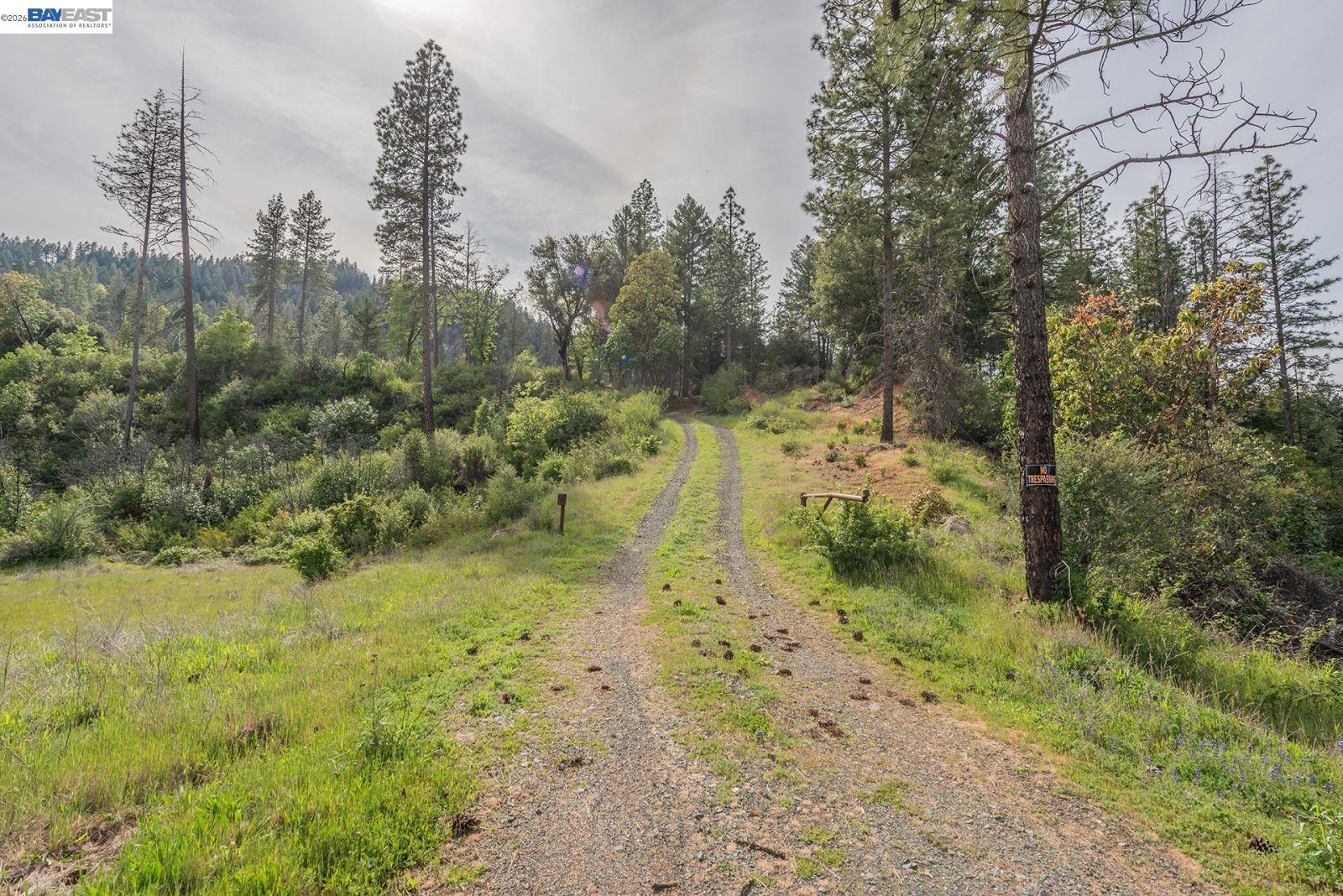 1780 Dutch Creek Road Junction City, CA 96048 - Photo 21 of 38 a view of a yard with trees