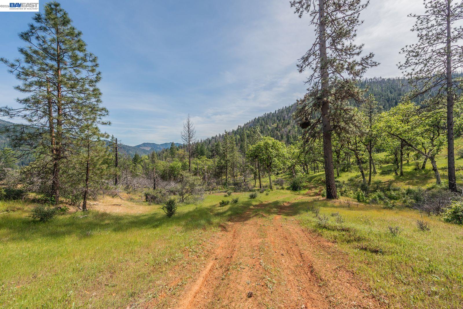 1780 Dutch Creek Road Junction City, CA 96048 - Photo 22 of 38 a view of outdoor space with lake view