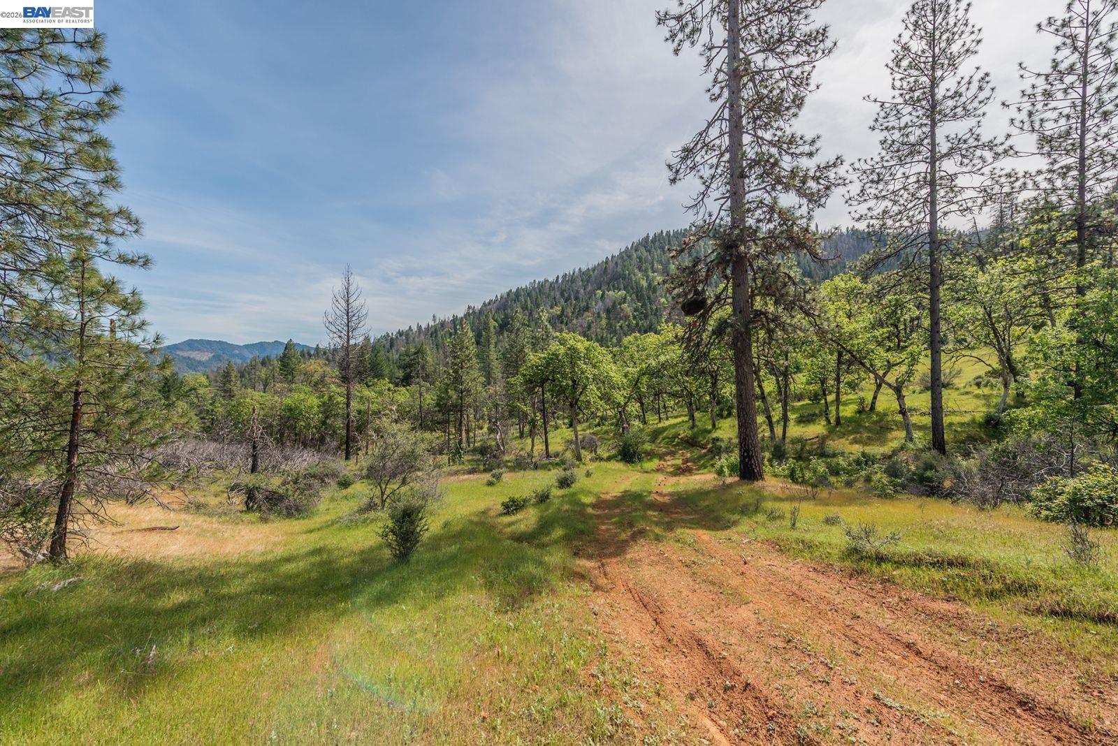 1780 Dutch Creek Road Junction City, CA 96048 - Photo 3 of 38 a view of a yard with trees