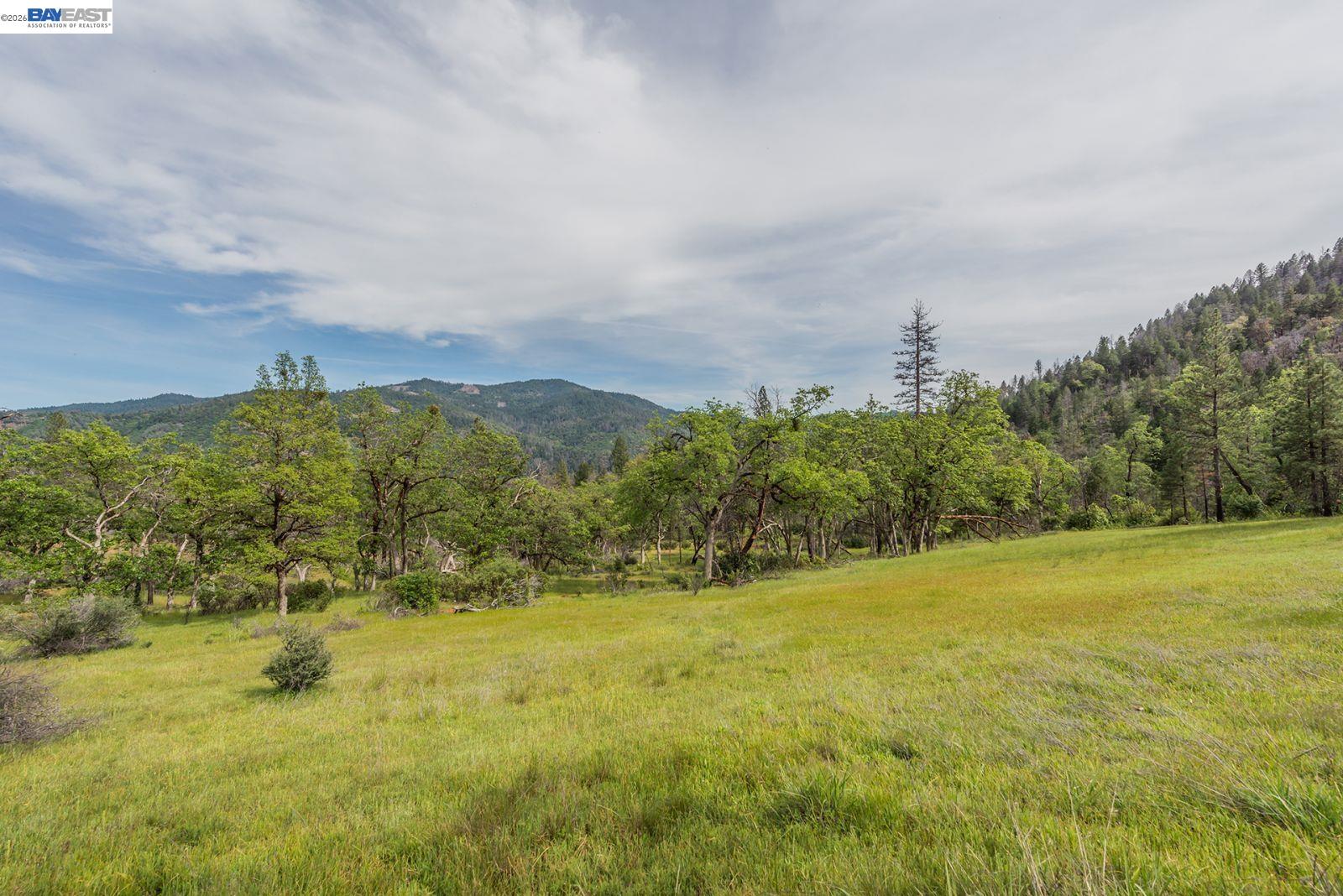 1780 Dutch Creek Road Junction City, CA 96048 - Photo 4 of 38 a view of a field with an trees in the background