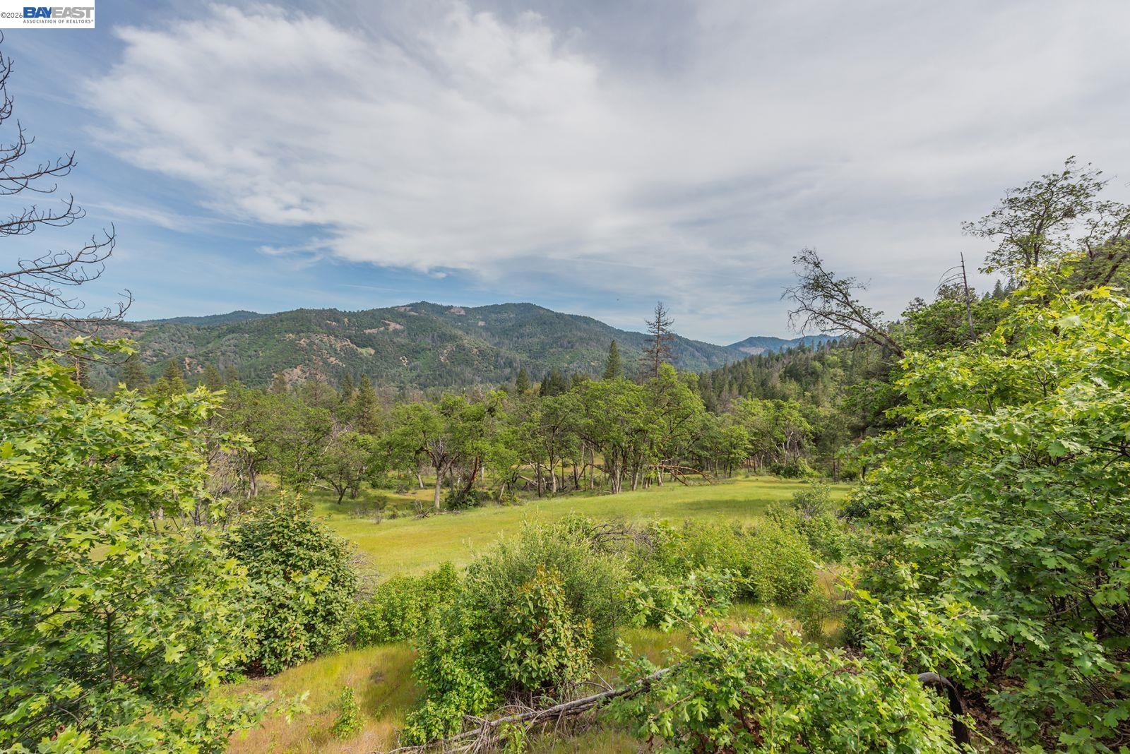 1780 Dutch Creek Road Junction City, CA 96048 - Photo 6 of 38 a view of lake view and mountain