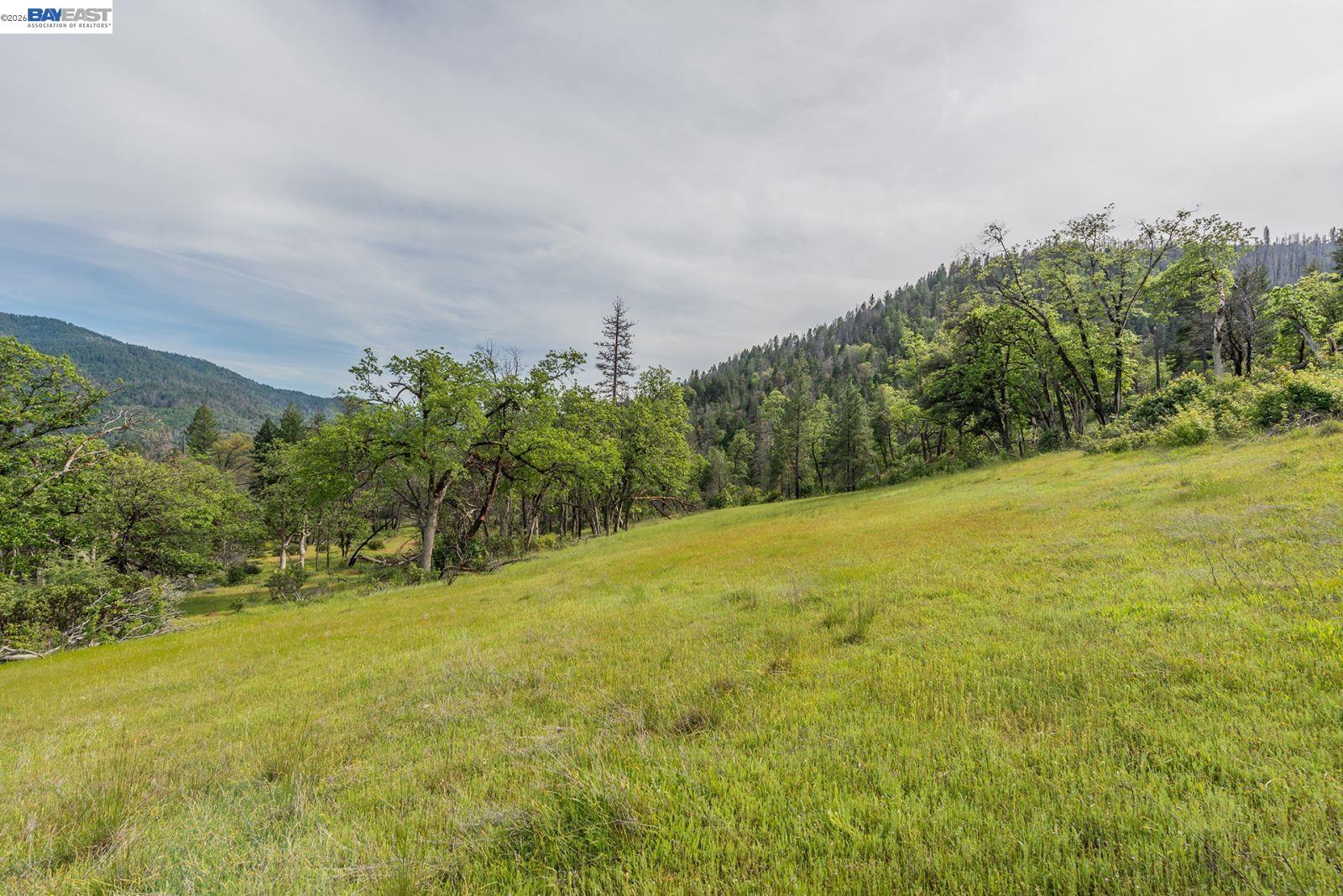 1780 Dutch Creek Road Junction City, CA 96048 - Photo 7 of 38 a view of a field with an trees in the background