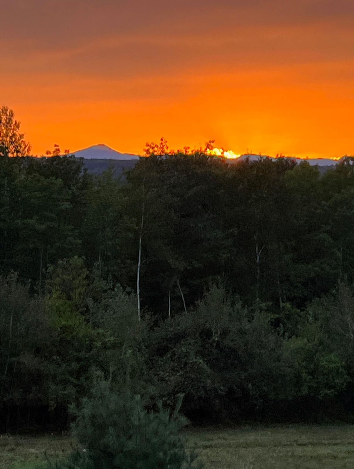 32 Dillon Road Harrison, ME 04040 - Photo 59 of 67 IMG_3747