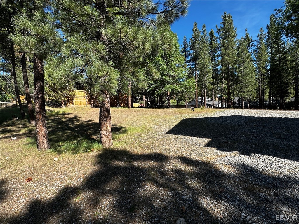 0 Fox Farm Road Big Bear Lake, CA 92315 - Photo 2 of 5