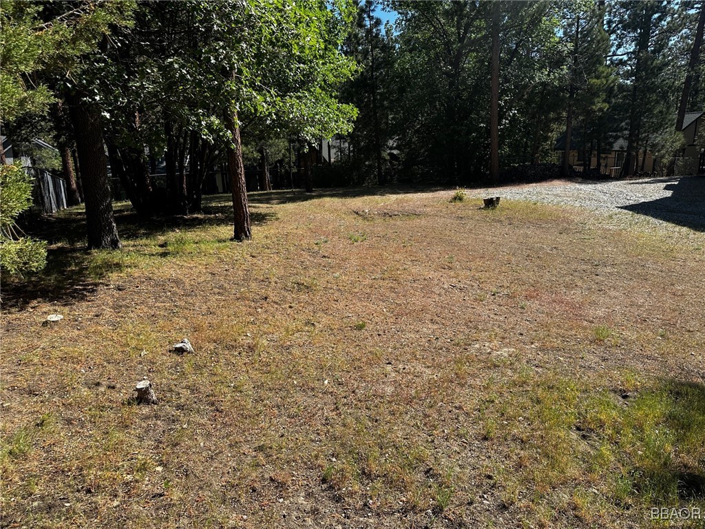 0 Fox Farm Road Big Bear Lake, CA 92315 - Photo 3 of 5