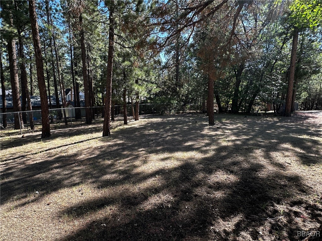 0 Fox Farm Road Big Bear Lake, CA 92315 - Photo 4 of 5