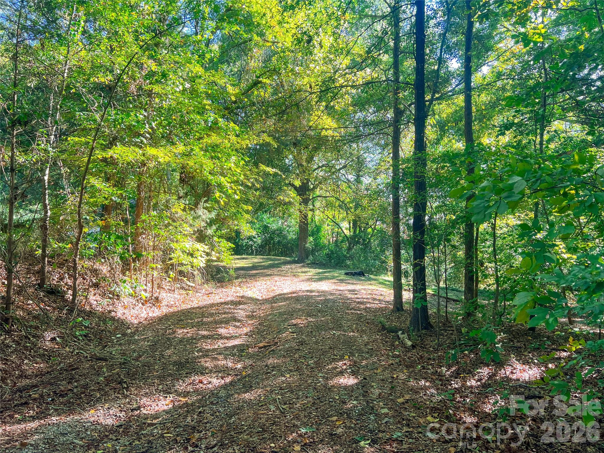 122 Ranson Road Lancaster, SC 29720 - Photo 19 of 19 a view of backyard with green space