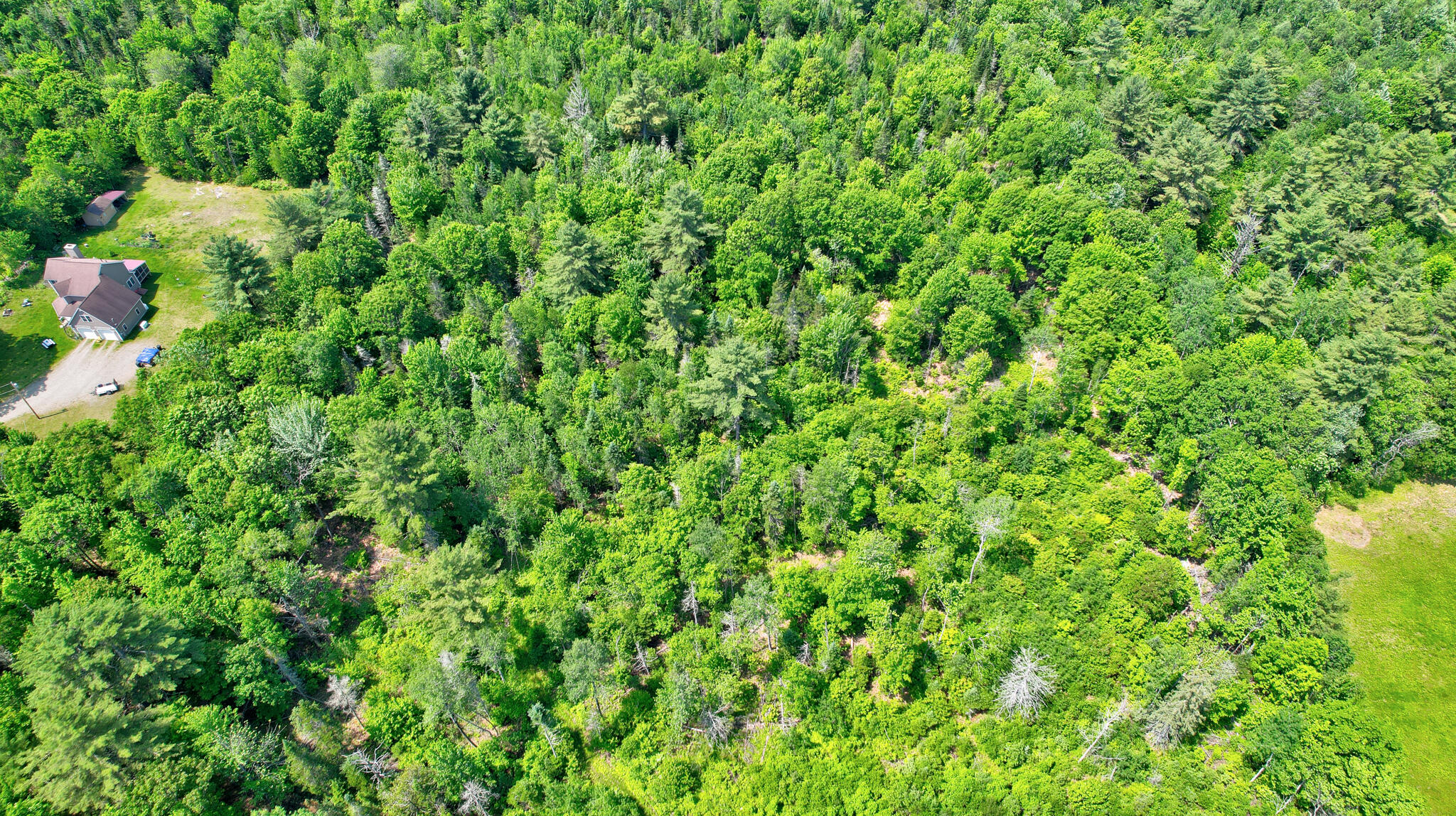 188 Cottrell Road Dixmont, ME 04932 - Photo 13 of 15 dji_fly_20250608_113438_630_174939697442