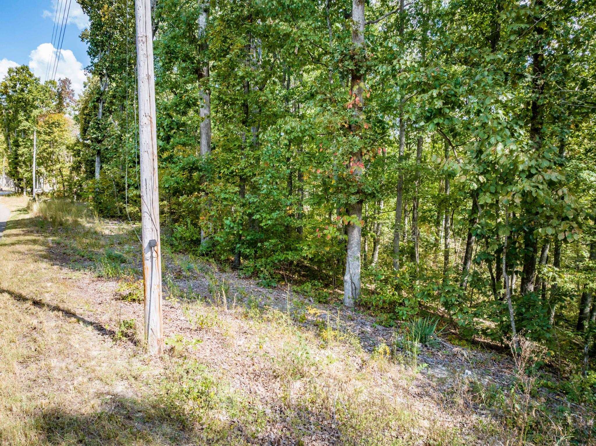 Lot 14-16 Ridgeway Drive Sugar Tree, TN 38380 - Photo 5 of 19 View of local wilderness