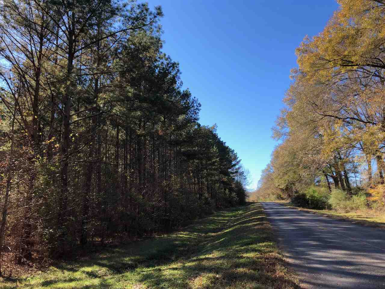 1 Bowling Green Road Lexington, MS 39095 - Photo 5 of 5 Photo 5