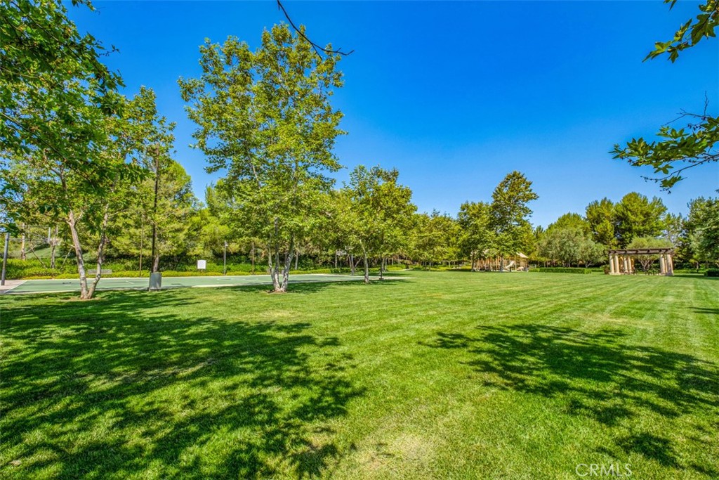 61 Triana Irvine, CA 92618 - Photo 50 of 56 a big yard with lots of green space and trees