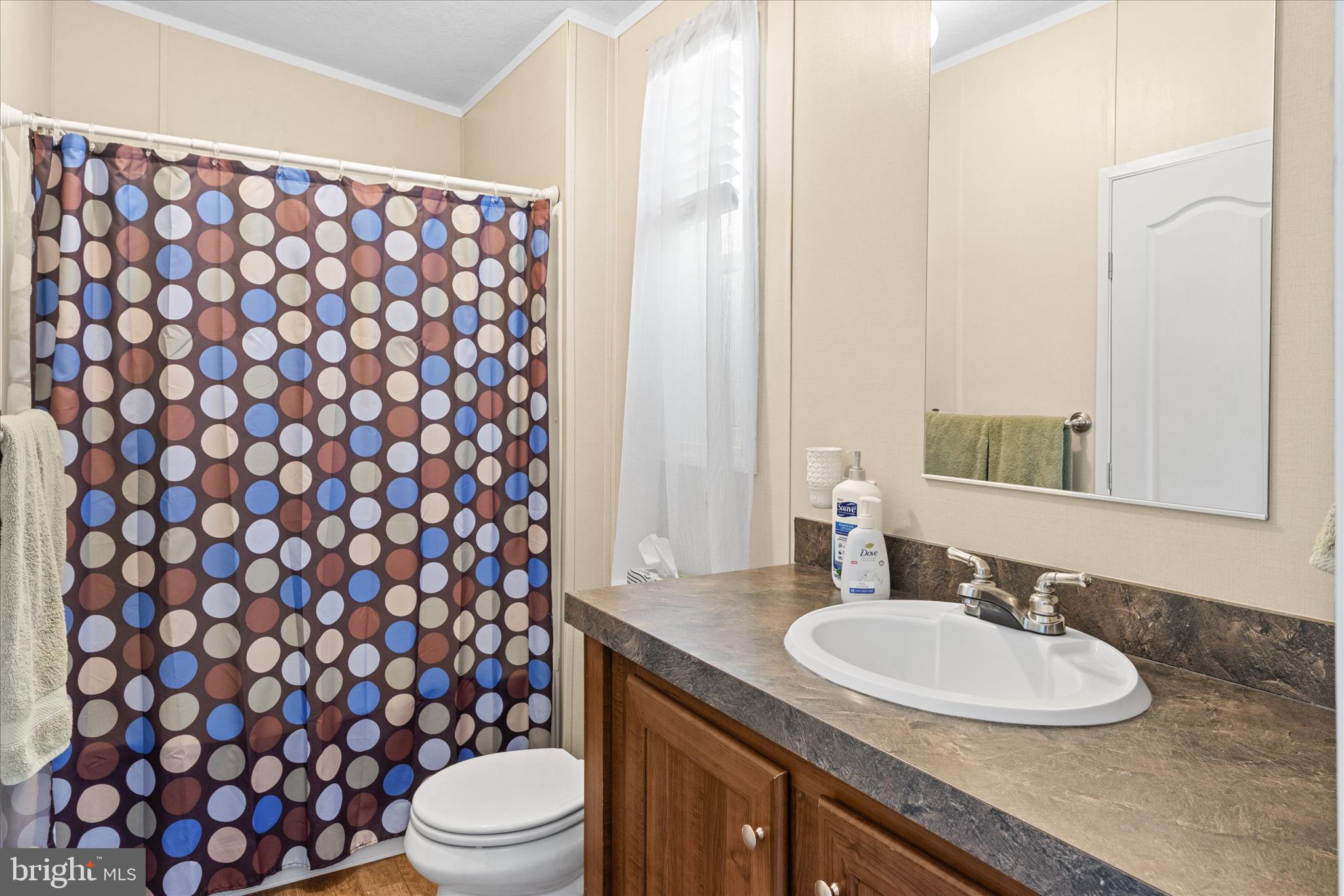 33461 Daisy Street Lewes, DE 19958 - Photo 26 of 42 a bathroom with a sink and a mirror