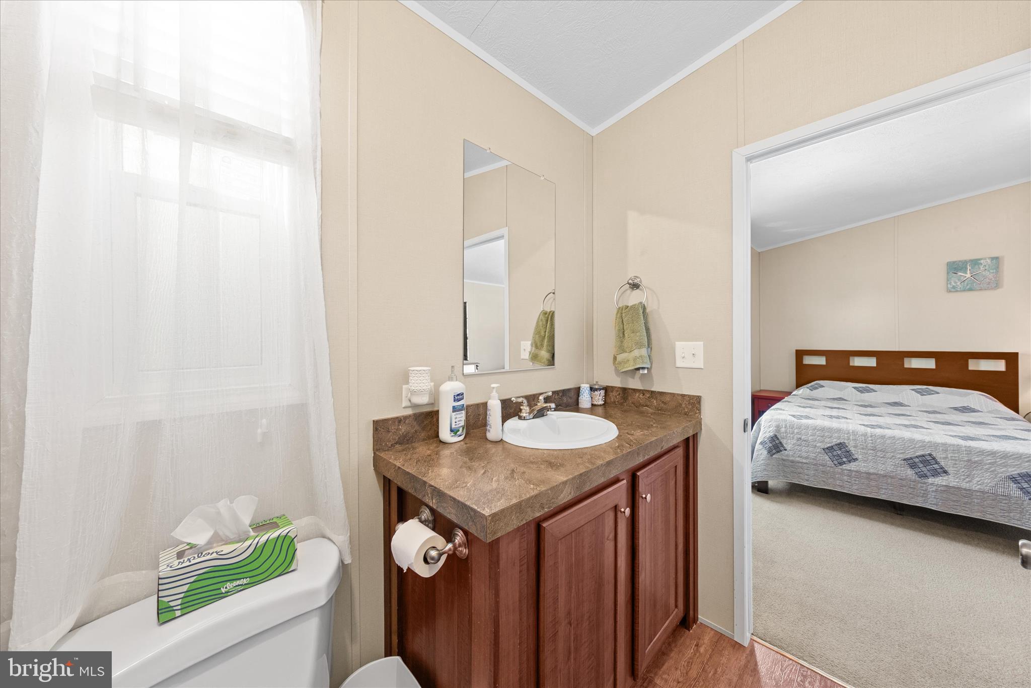 33461 Daisy Street Lewes, DE 19958 - Photo 27 of 42 a en suite bathroom with a granite countertop sink and a mirror