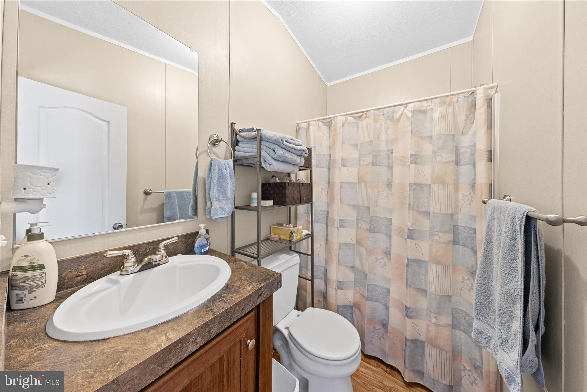 33461 Daisy Street Lewes, DE 19958 - Photo 32 of 42 a bathroom with a granite countertop sink toilet and shower