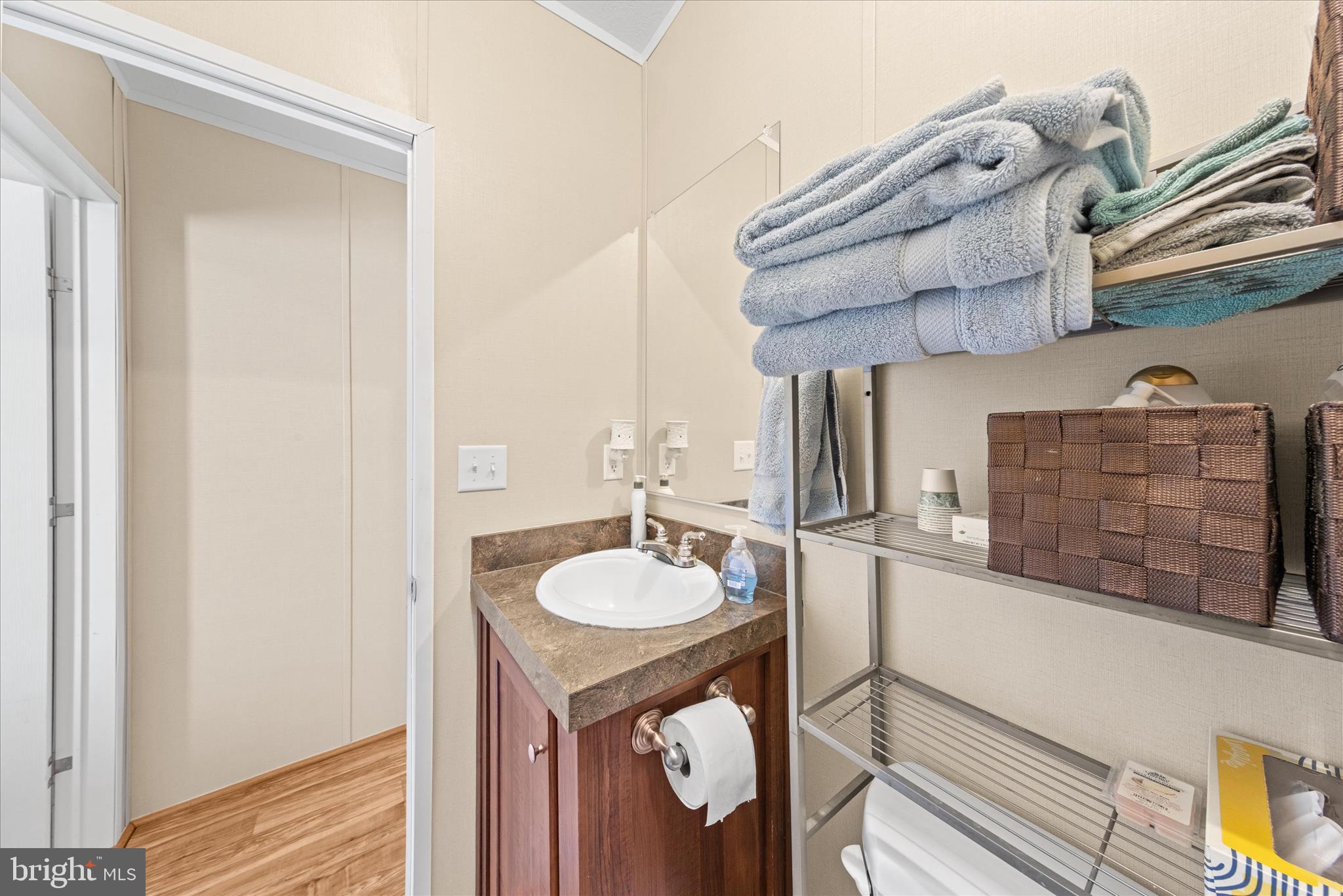 33461 Daisy Street Lewes, DE 19958 - Photo 33 of 42 a bathroom with a sink and a mirror