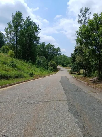 a view of a road with a trees in the background