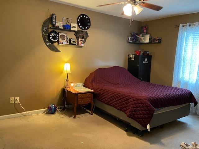 66 Ode Moore Road Michie, TN 38357 - Photo 8 of 15 Gallery Image 8