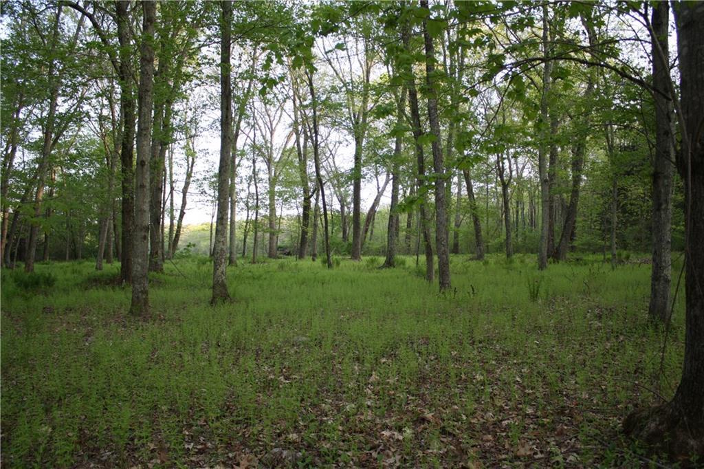 Lot 8 Porter Pond Road Moosup, CT 06354 - Photo 1 of 1 Gallery Image 1