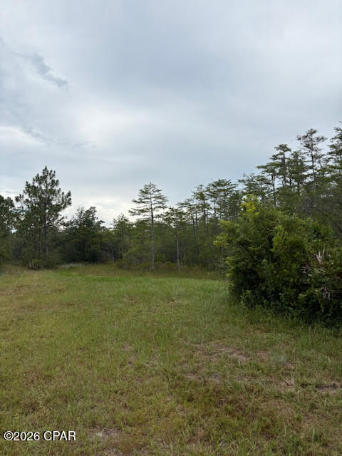 4539 Northwest White Road Altha, FL 32421 - Photo 29 of 82