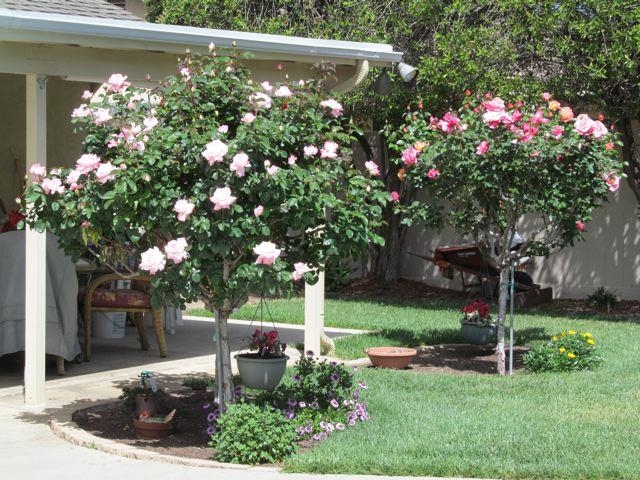 1151 Rathmoor Street El Cajon, CA 92020 - Photo 21 of 23 Gallery Image 21
