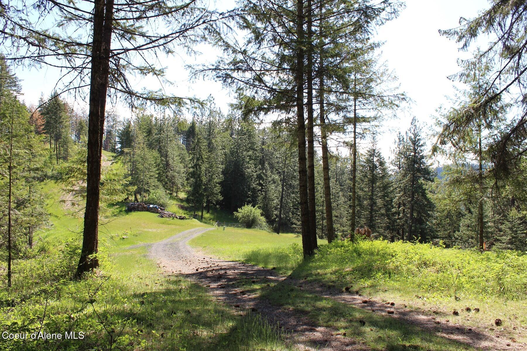 881-2714 South Allen Road Coeur D'Alene, ID 83814 - Photo 1 of 54 Driveway into Haven