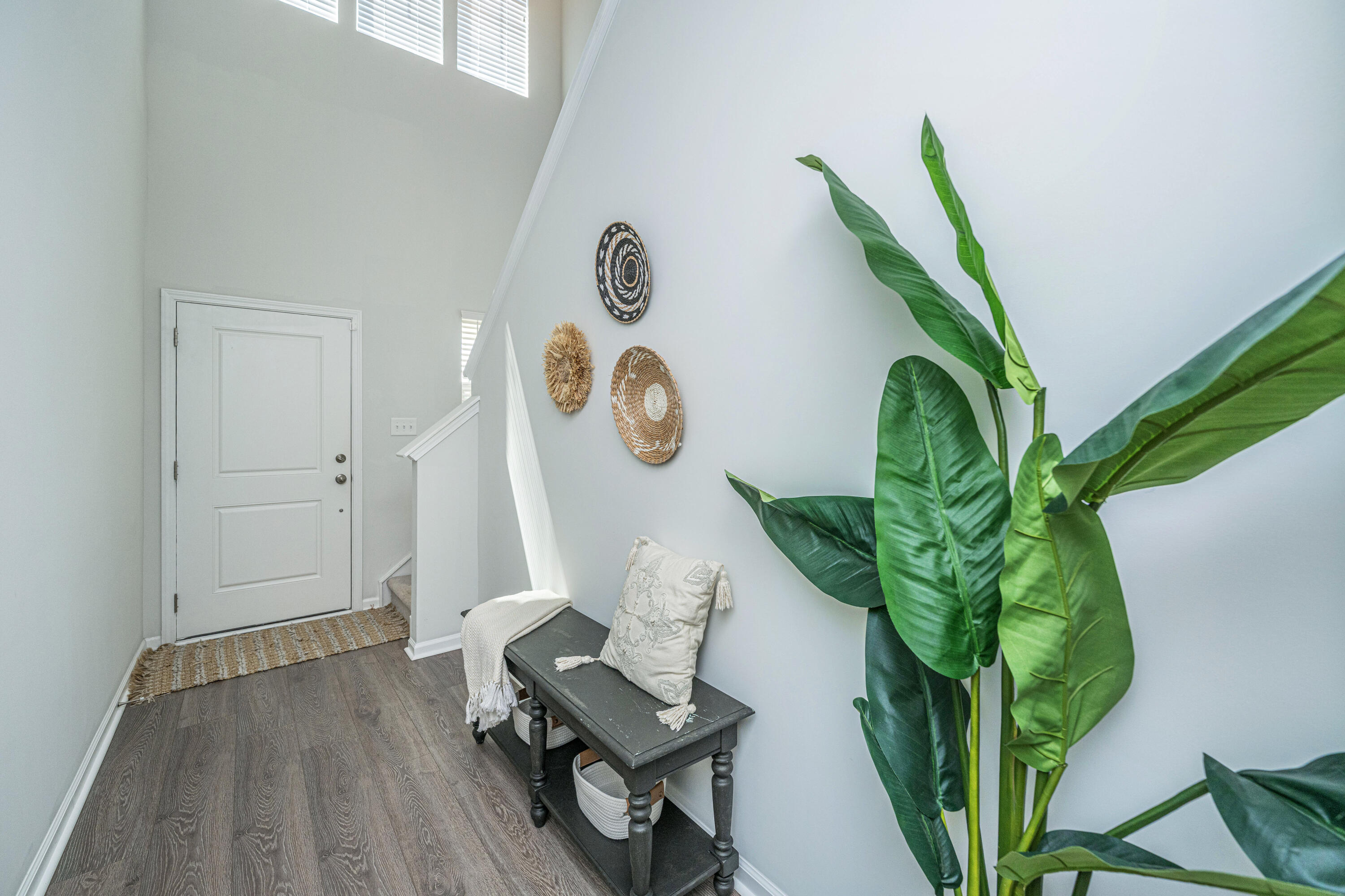 496 Minim Street Charleston, SC 29414 - Photo 3 of 43 496MinimSt007