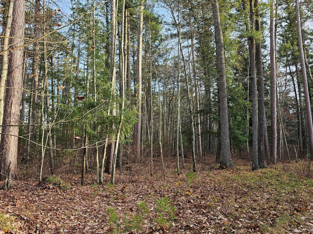 N8910 Skudris Road Tomahawk, WI 54487 - Photo 16 of 26 Gallery Image 16