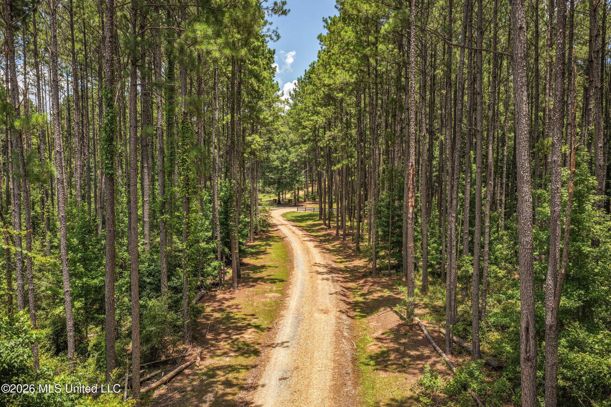 6929 Moak Road Summit, MS 39666 - Photo 20 of 52 DJI_20260708131115_0188_D