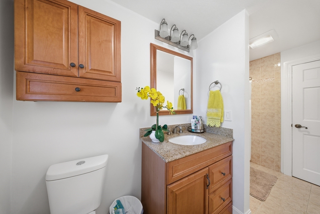 329 Orchard Street Millis, MA 02054 - Photo 10 of 42 a bathroom with a granite countertop toilet sink and mirror