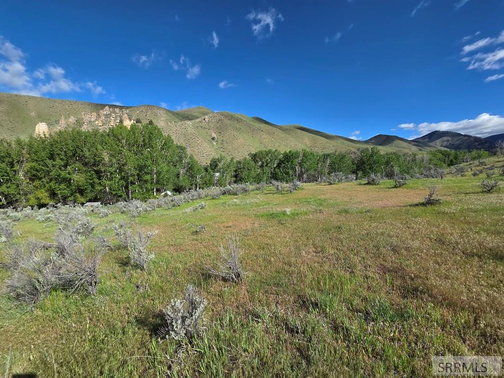 Nkn East Tower Creek Road Carmen, ID 83462 - Photo 37 of 63
