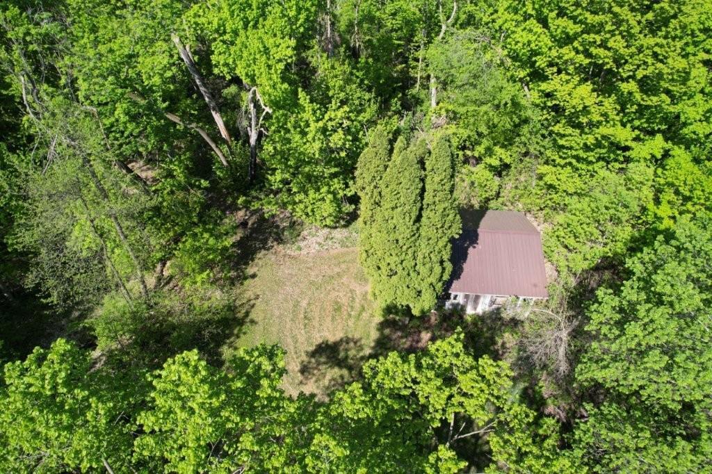 Tbd Tbd Cr-13 Road Grey Eagle, MN 56336 - Photo 11 of 21