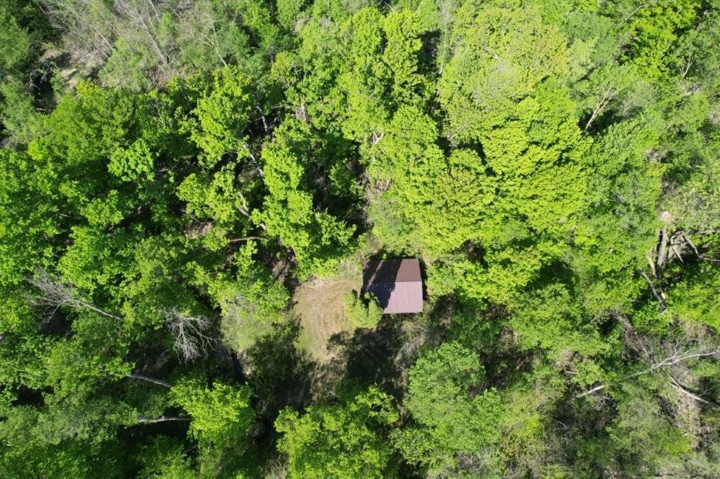 Tbd Tbd Cr-13 Road Grey Eagle, MN 56336 - Photo 12 of 21