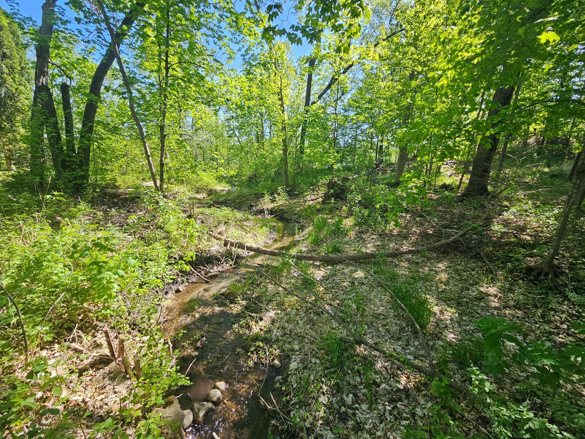 Tbd Tbd Cr-13 Road Grey Eagle, MN 56336 - Photo 7 of 21