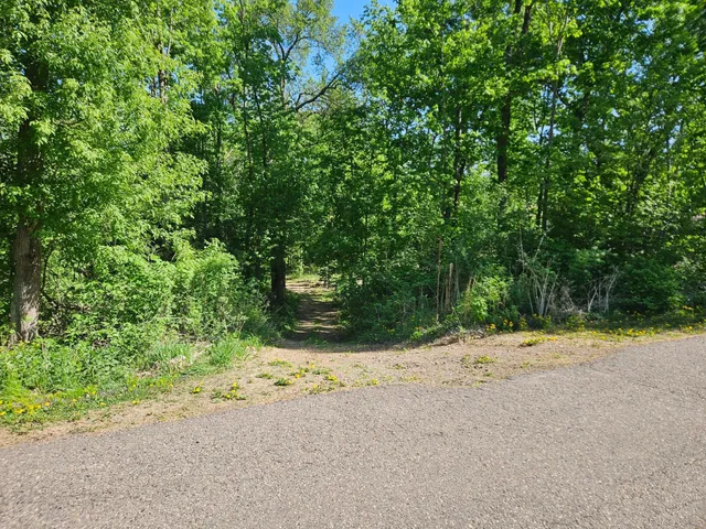 $425,000 | Tbd Tbd Cr-13 Road, Grey Eagle, MN 56336