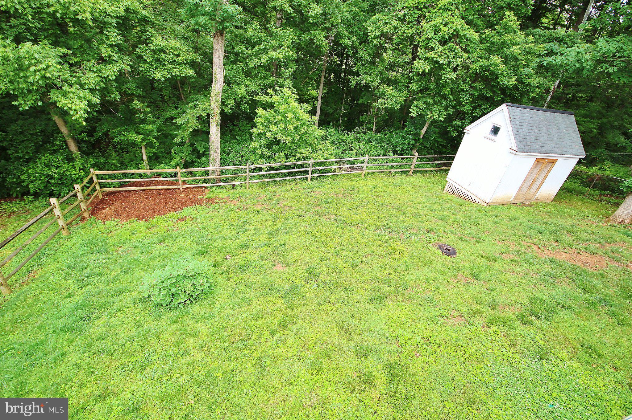 5504 Inverchapel Road Springfield, VA 22151 - Photo 48 of 51 Serene green space with a quaint shed.