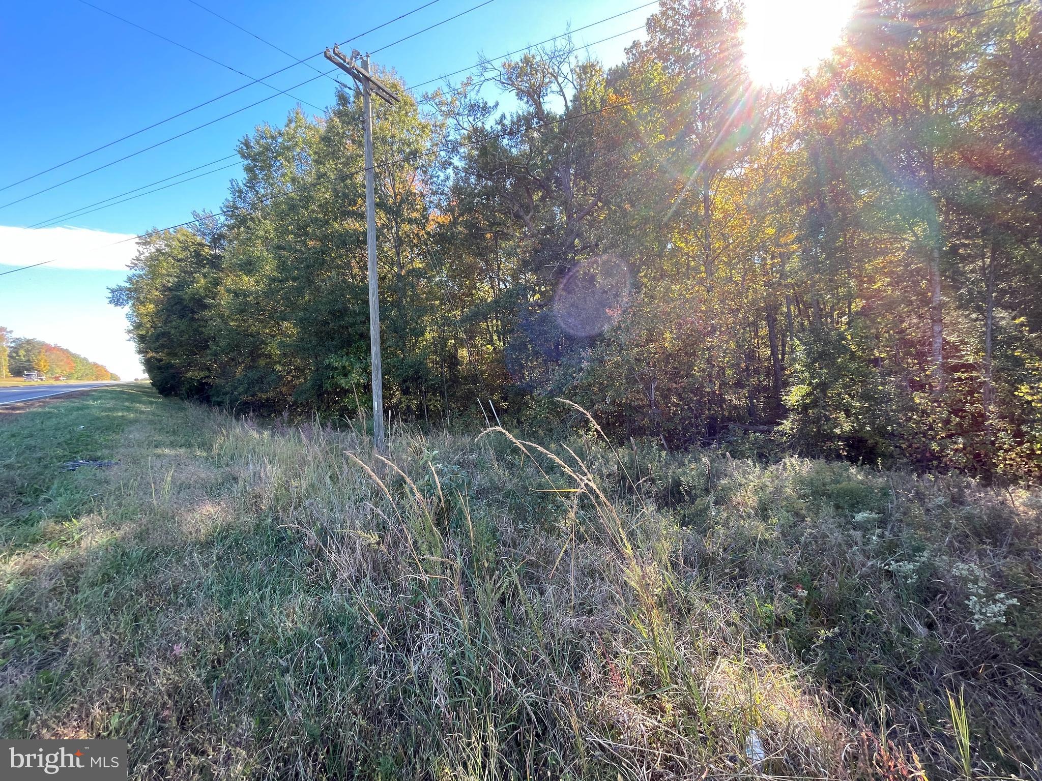 Marsh Road Sumerduck, VA 22742 - Photo 1 of 5 a view of outdoor space and trees