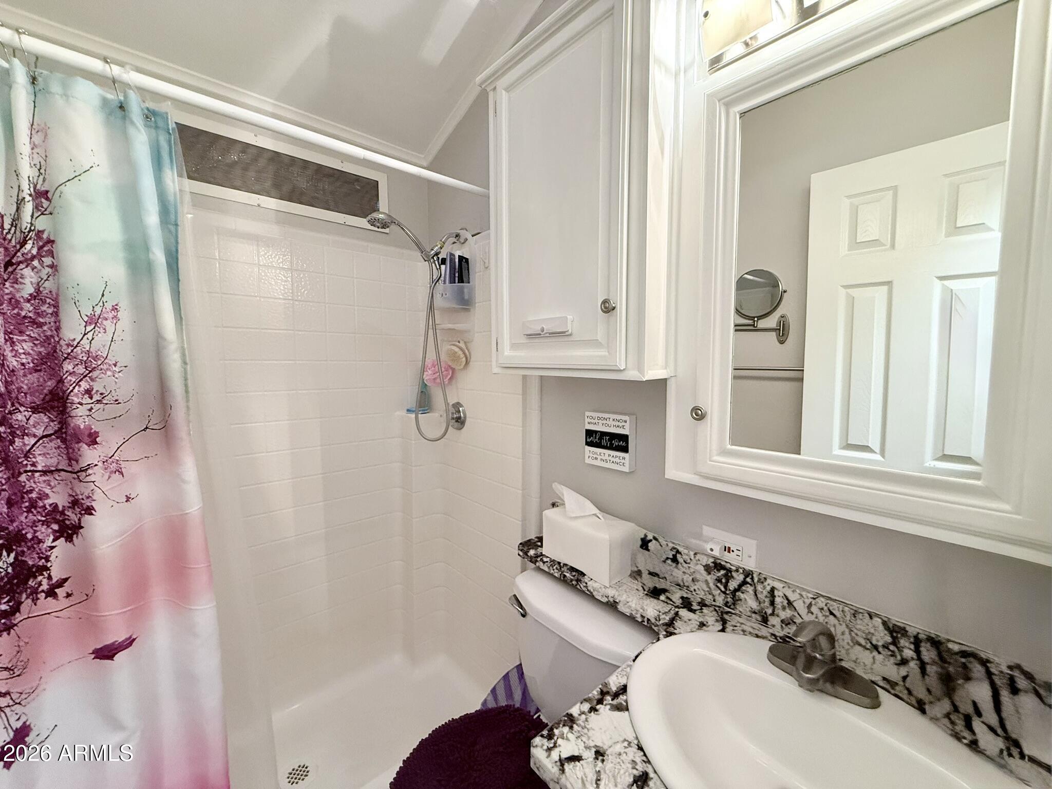 8865 East Baseline Road, Unit 1010 Mesa, AZ 85209 - Photo 26 of 57 Hall Bathroom