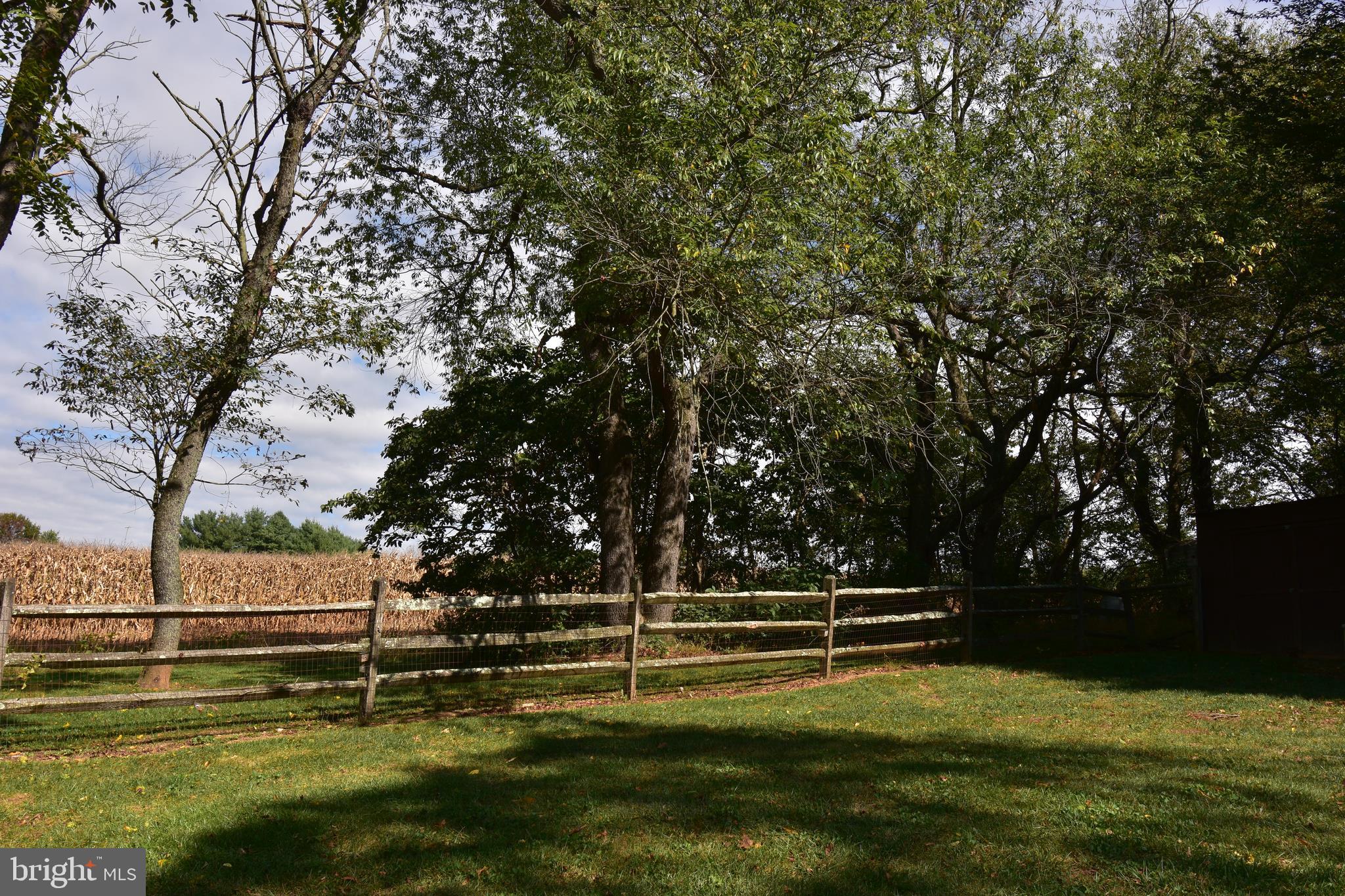 8623 Mt Tabor Road Middletown, MD 21769 - Photo 12 of 36