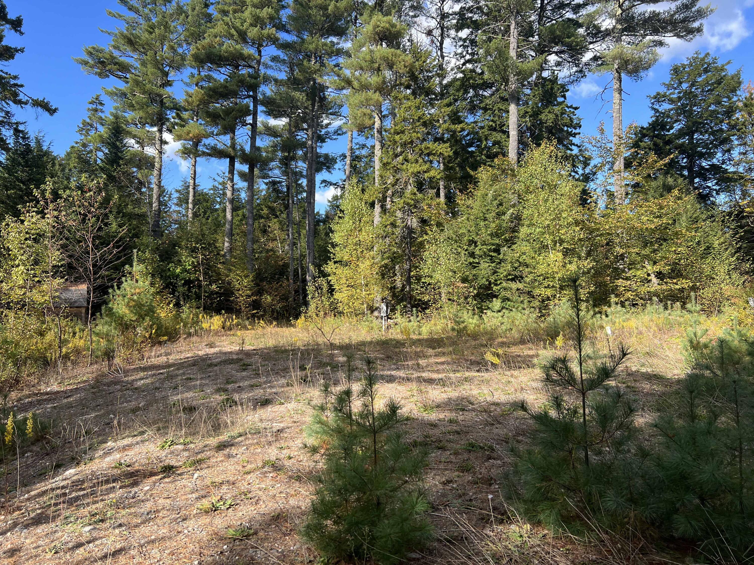 0 Beech Ridge Lane Ellsworth, ME 04605 - Photo 3 of 17 1b