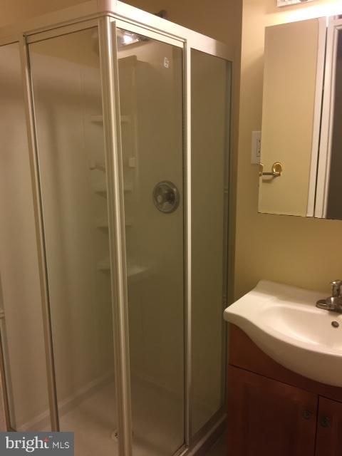 10320 Apple Ridge Road Gaithersburg, MD 20886 - Photo 11 of 30 a bathroom with a shower and a sink