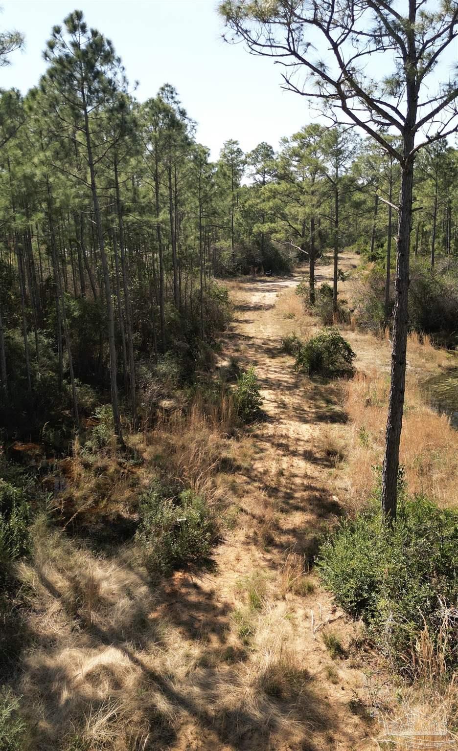 Robinson Point Road Milton, FL 32583 - Photo 5 of 16