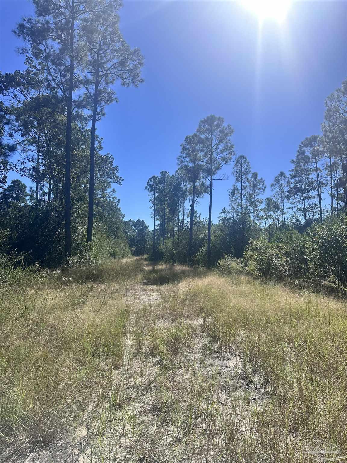 Robinson Point Road Milton, FL 32583 - Photo 6 of 16