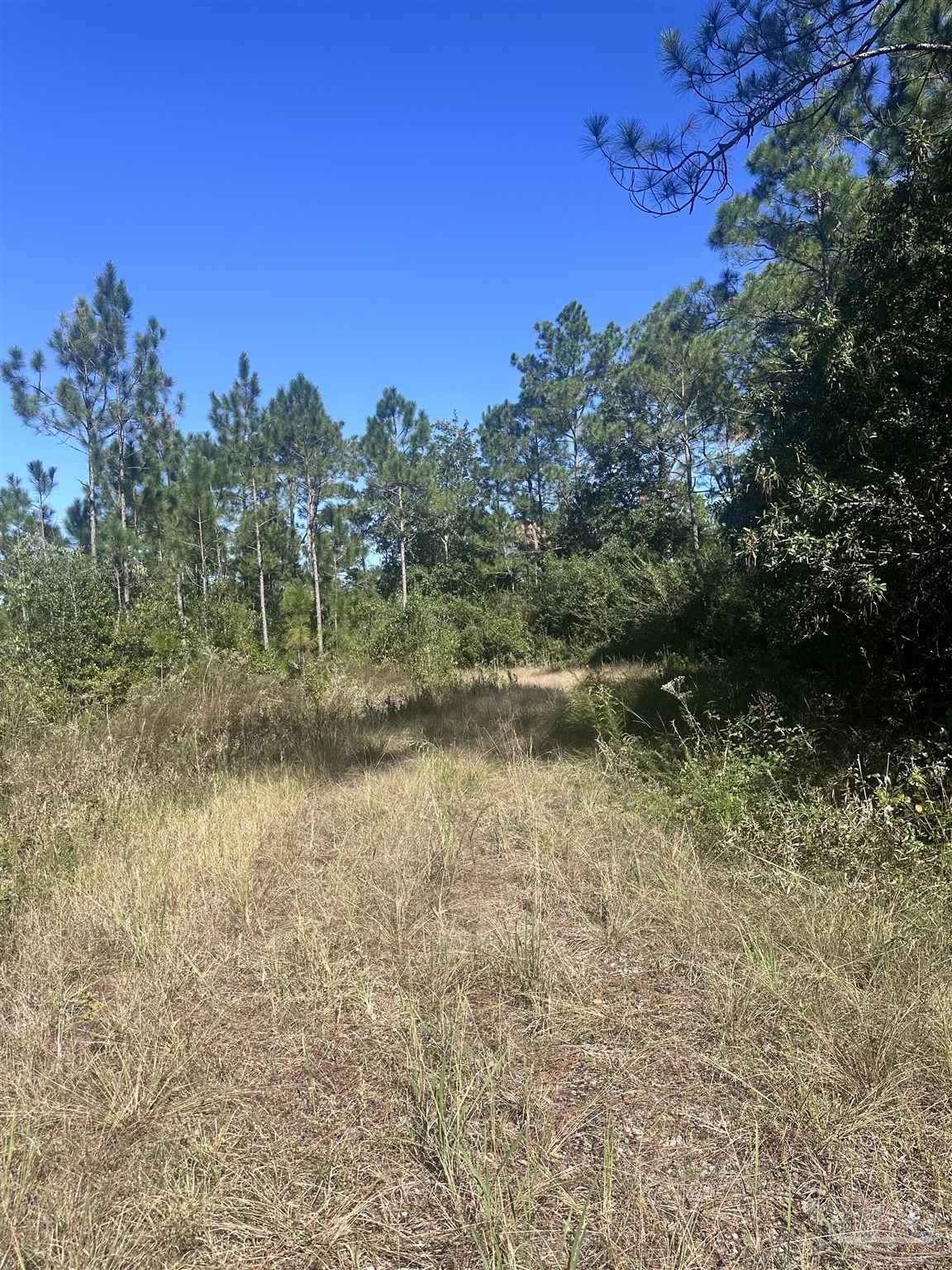 Robinson Point Road Milton, FL 32583 - Photo 7 of 16